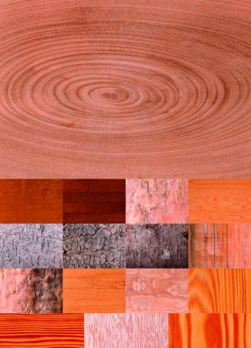 Wood Textures -  