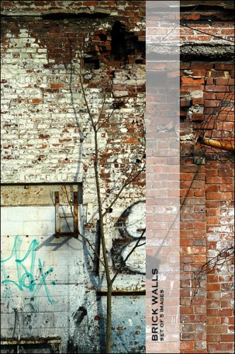 Brick Walls - set 01 -   