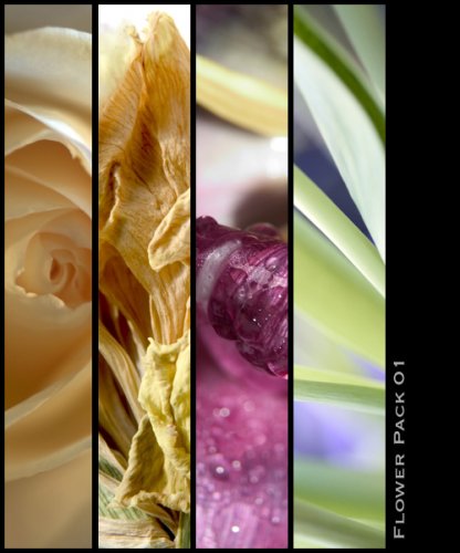 Flower Macro Pack 01 -  