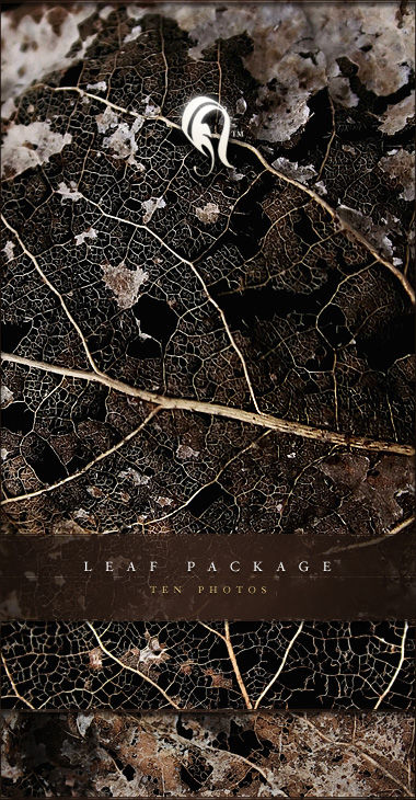 Package - Leaf - 1 -  
