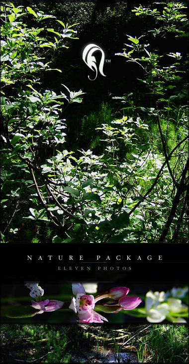 Package - Nature - 9 -  