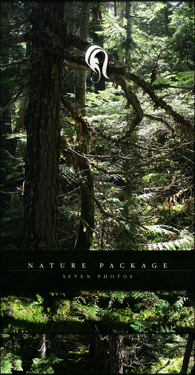Package - Nature - 12 -  
