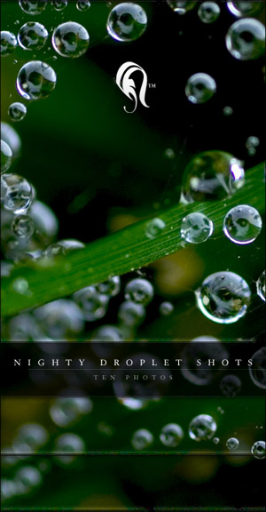 Package - Nighty Droplet Shots -    