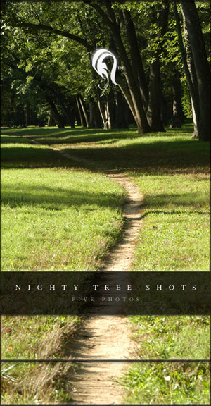 Package - Nighty Tree Shots- , 