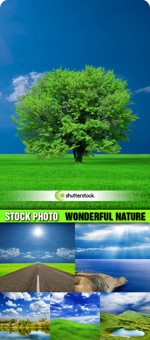 Amazing SS  Wonderful Nature - 