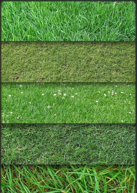 Grass Textures - текстура травы