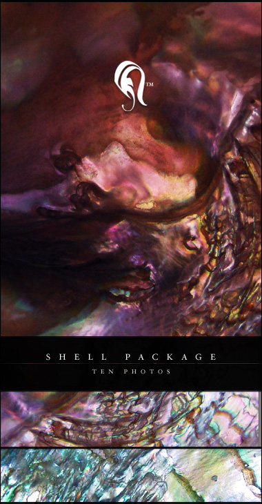 Package - Shell - 1 -  , 