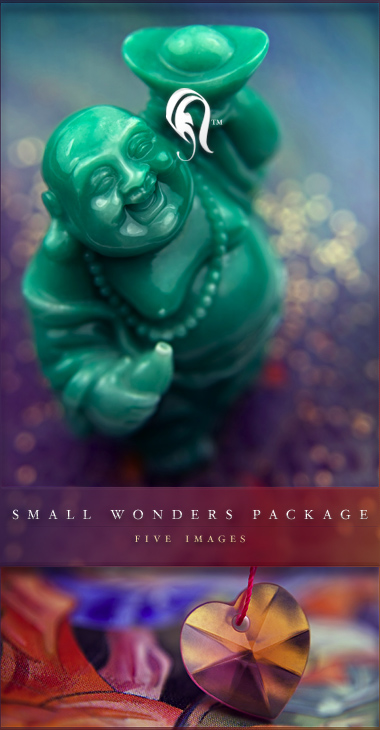 Package - Small Wonders - 1 -  