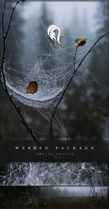 Package - Webbed - 2 - 