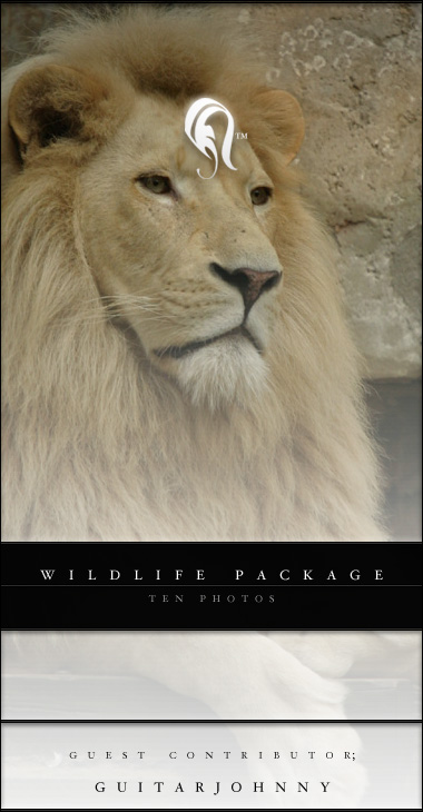 Package - Wild Life - 2 -   ()