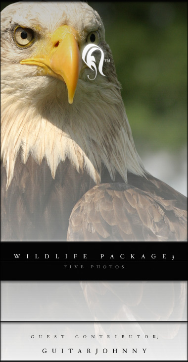 Package - Wild Life - 3 -   ()
